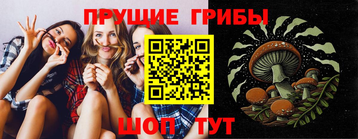 Псилоцибиновые грибы Psilocybine cubensis  Вход с VPN  Ступино 