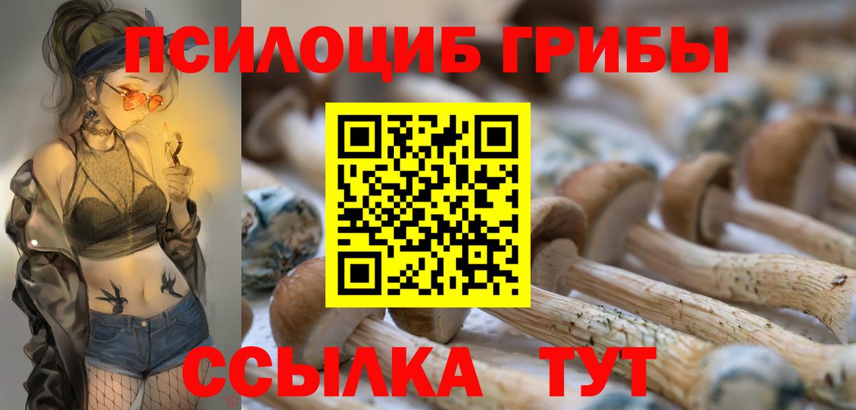 Галлюциногенные грибы прущие грибы Ступино